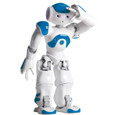 NAO H25 Evolution V5